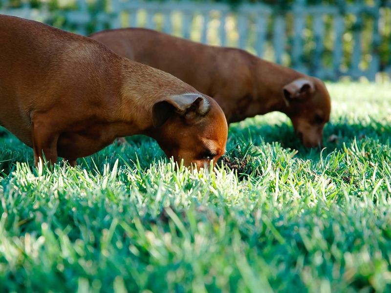 sudoku relaxation mode screenshot 2