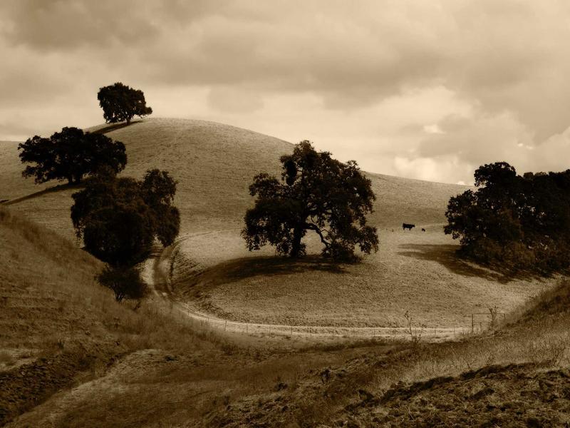 android screenshot 2